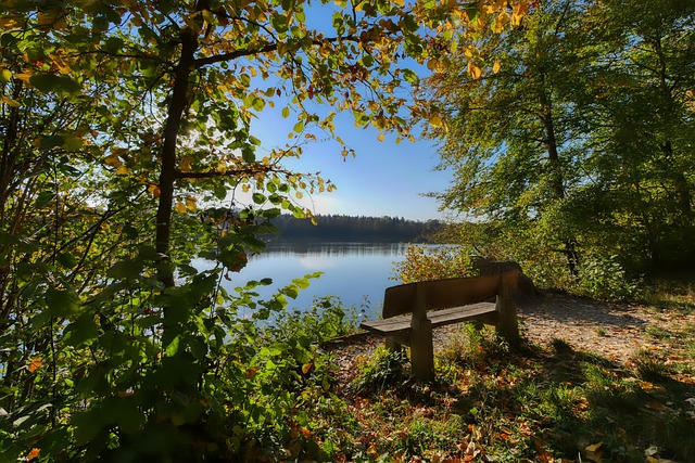 术和敏锐的 术和敏锐的