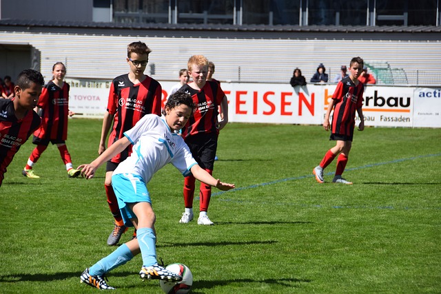 利用传统媒 利用传统媒