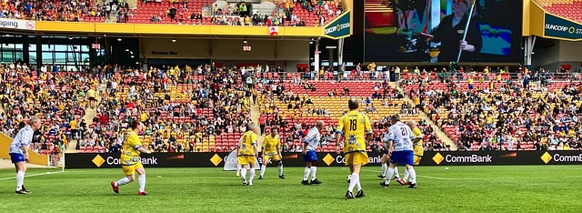 的道路上 的道路上