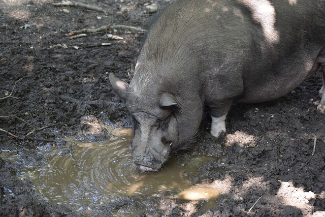 曾有一位家 曾有一位家