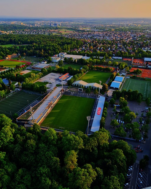 援的预期不 援的预期不